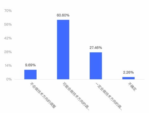 软件开发团队2020年度经营状况报告